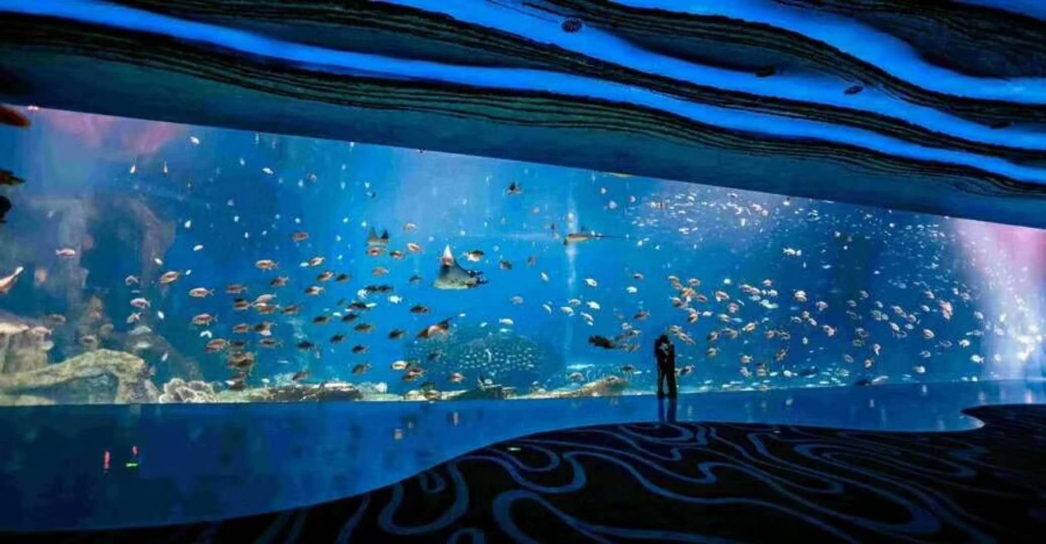 海洋館水族館生物養(yǎng)殖用水臭氧殺菌，滅藻