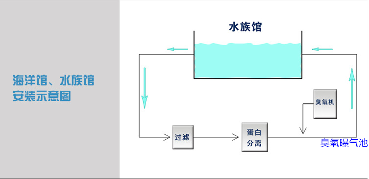 海洋館過濾，蛋分，臭氧，曝氣池.png